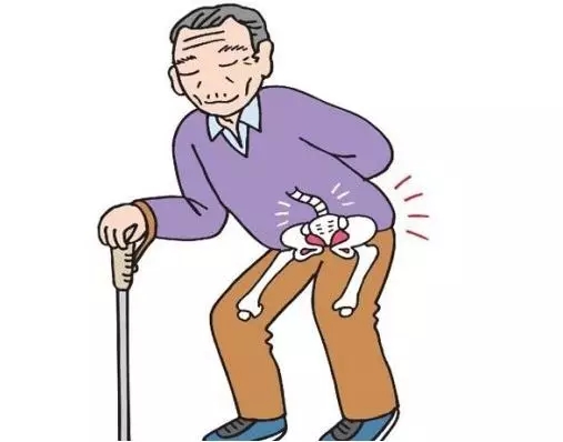 股骨頭壞死1.jpg