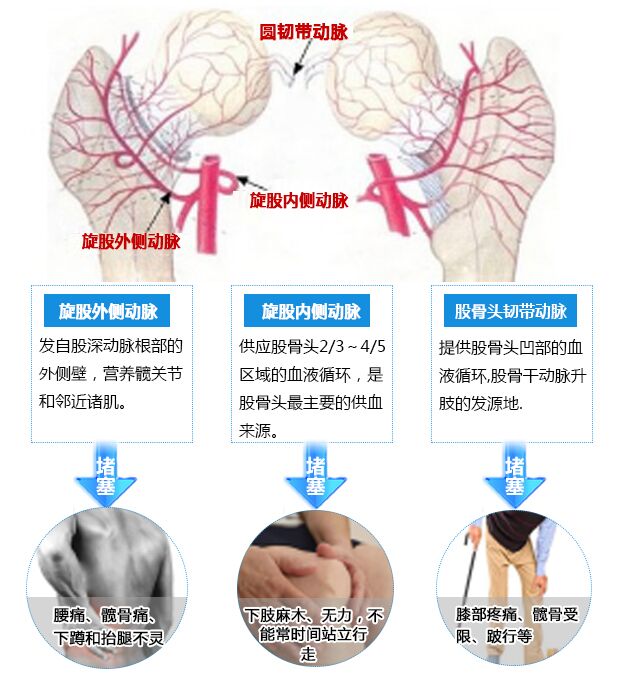癥狀原理.jpg